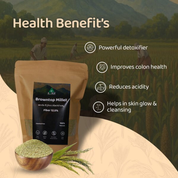 Browntop Millet (Andu Korralu)