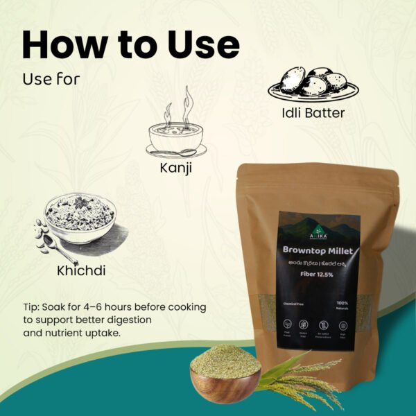 Browntop Millet (Andu Korralu)