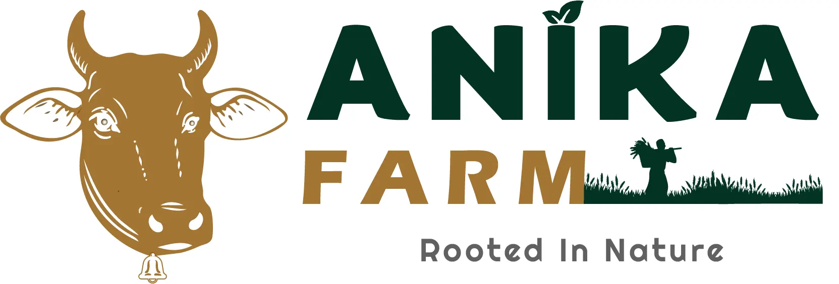 anikaorganics.sootradhari.com